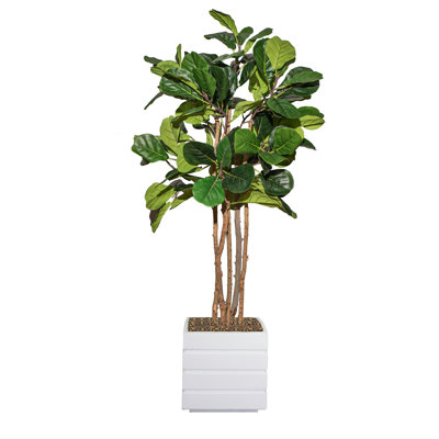 Panama 67'' Faux Palm Tree in Fiberstone Vase