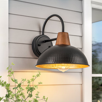 Outdoor Gooseneck Barn Wall Light