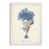 Cadre de toile blanc
