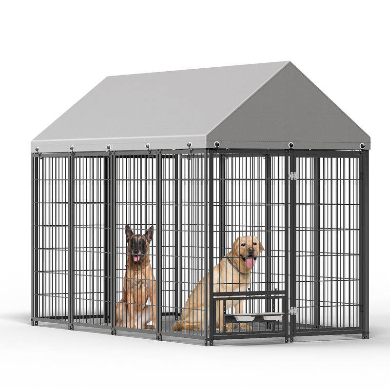 Grand enclos pour chien chenil pour l'extérieur, H 71,65 po x l 50 po x P 95,28 po