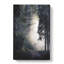 Forest Light - Wrapped Canvas-56640683