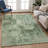 Machine Washable Indoor/Outdoor Earleville ACN2360 Casual Rug-1394976464