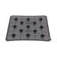 Planter Box-1446930806