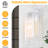 Tiernan Outdoor Wall Lantern (Set of 2)-109707210-109707211