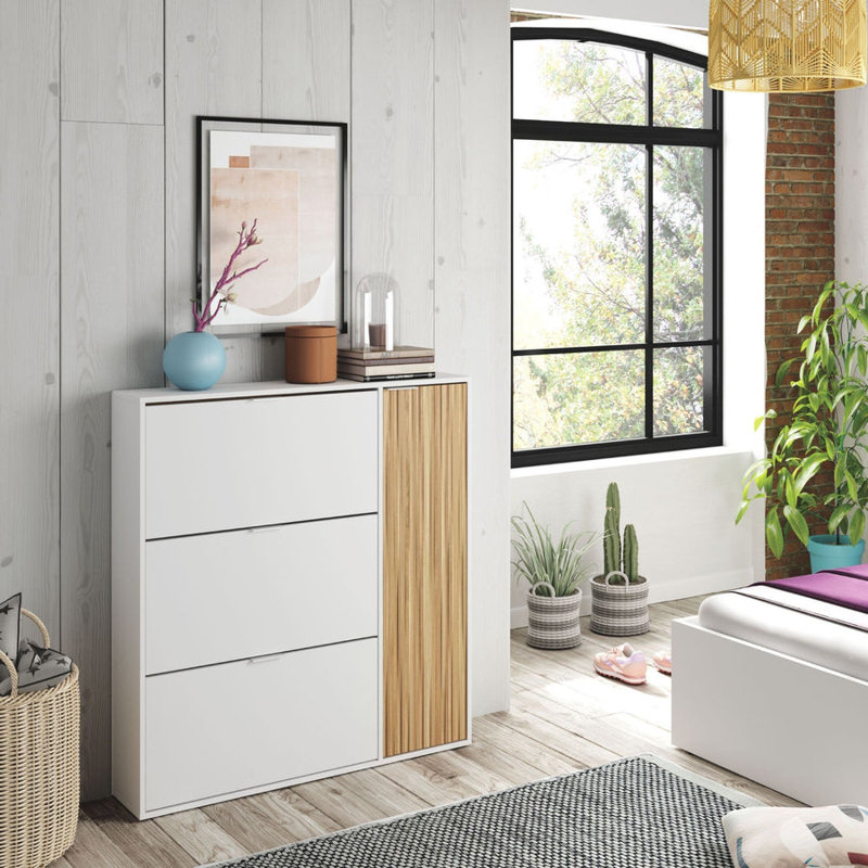 20 Pair Shoe Storage Cabinet