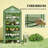 Small Portable Greenhouse,Mini Greenhouse-124615603
