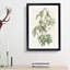 Autumnal Warbler by John Audubon - Single Picture Frame Painting-55456870-55456871