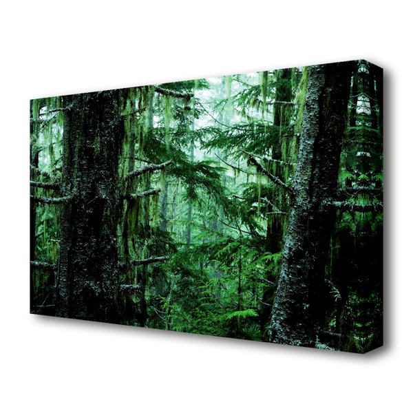 East Urban Home Emerald Forest Forest - Wrapped Canvas Print | Wayfair ...