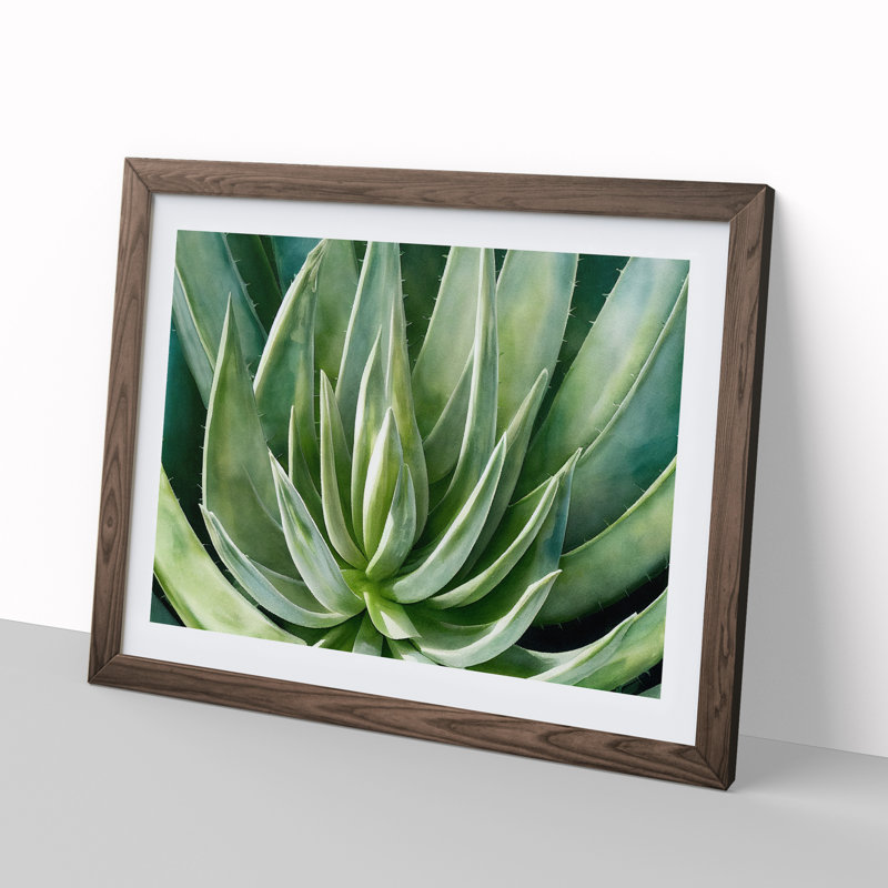 Watercolour Aloe Vera Plant - Single Picture Frame Painting, 25cm H x 34cm W x 2cm D, Walnut Framed