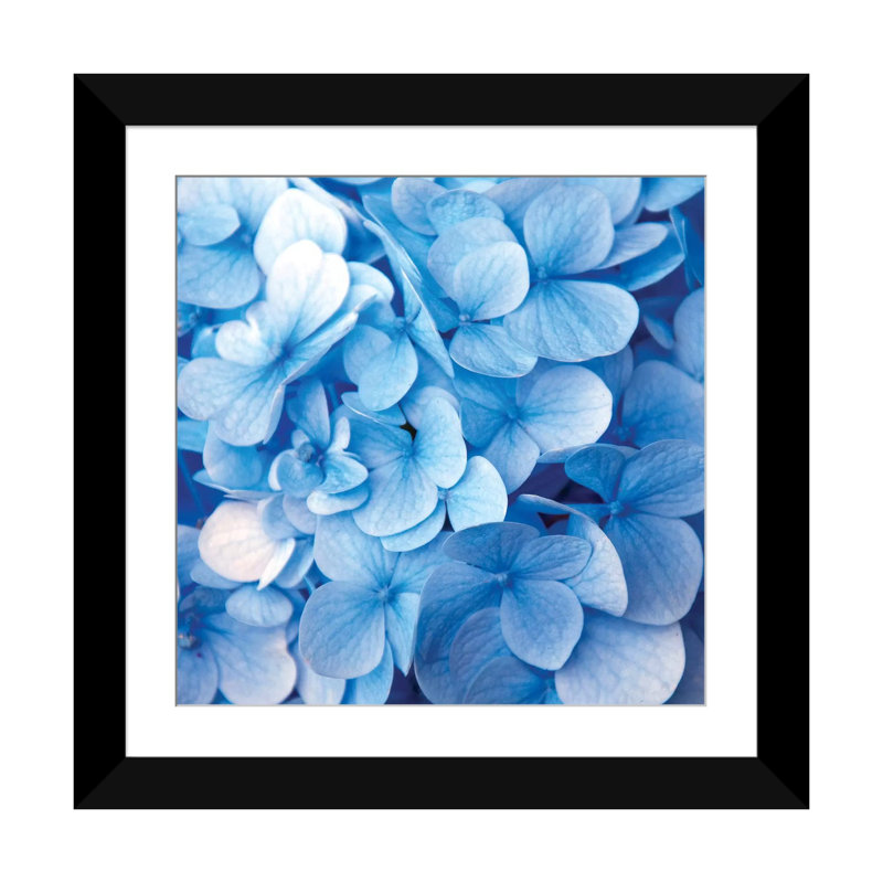 « blue florals », reproduction d’impression sur toile, H 24 po x l 24 po x P 1 po, Papier d'art encadré noir, Blanc