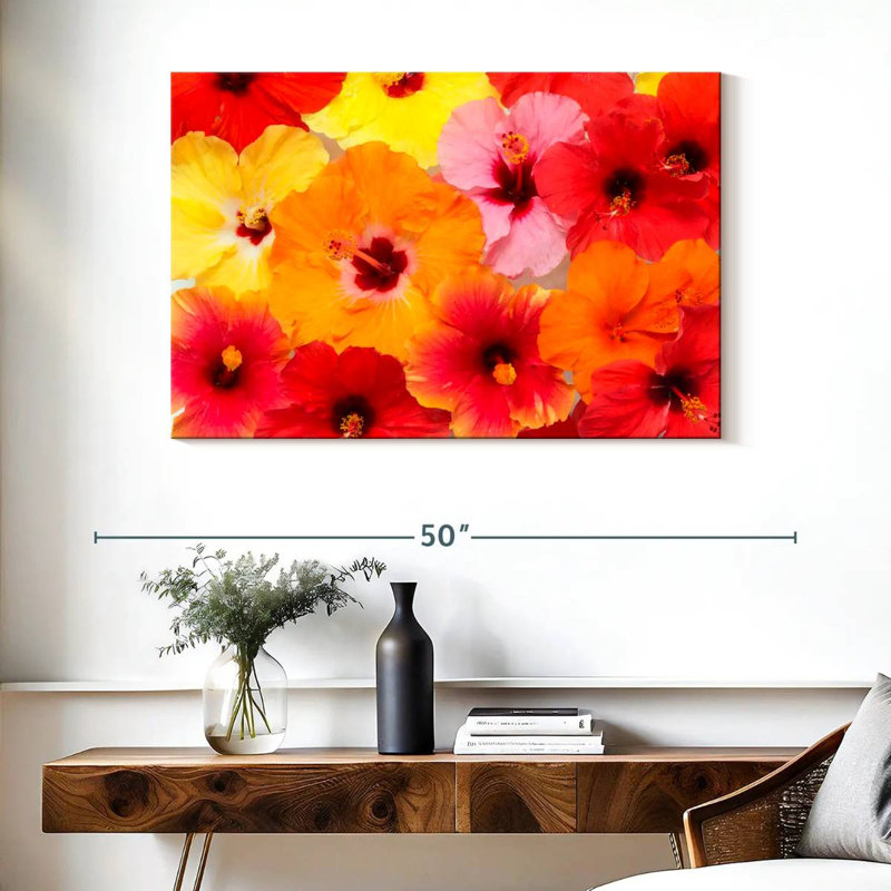 Hibiscus Harnek en été, H 26 po x l 39 po