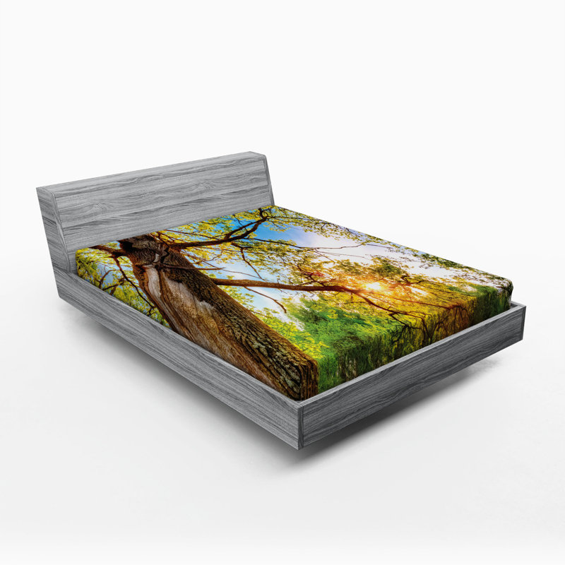 Microfiber Fitted Sheet, Queen Fitted Sheet