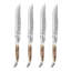 4 Piece Steak Knife Set