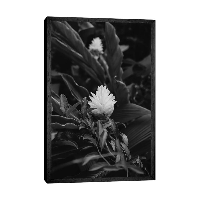 Monochrome Tropical Hawaii by Bethany Young - Print on Canvas, 152.4cm H x 101.6cm W x 3.81cm D, Black Framed