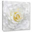 «White Rose», reproduction-1842617840-1856792078
