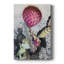 Cactus rose jaune I - photographie sur toile tendue-280362878