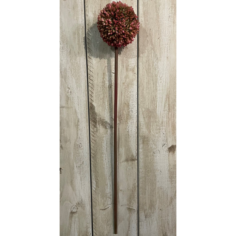 Anastasija Arrangement