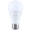Bulb-1403391544