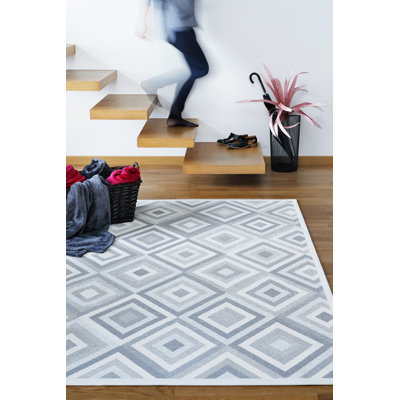 Raiford Geometric Hand Woven Area Rug