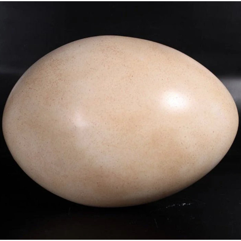 Large Sauropod Dinosaur Egg Life Size Statue, 9" H x 12" W x 9" D