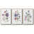 Cadre flottant naturel n'est pas disponible