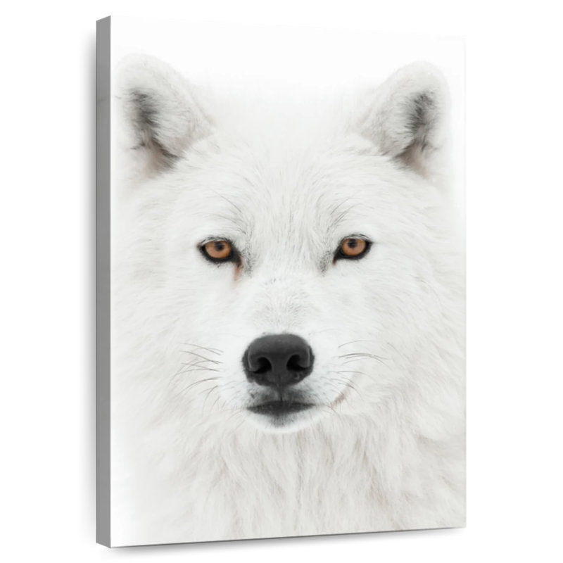 Loup blanc d'hiver, H 45 po x l 30 po