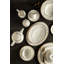 Oval Platter-1888490231