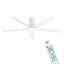2 pièces 52 pouces ventilateur de plafond encastré Elvert avec lumières DEL-1965579034-1965579032