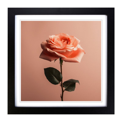 Rose Minimalism - Framed Print