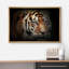 Animaux, tigre du Bengale-93629090-93629084