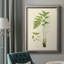 «Curtis Ferns I», reproduction sur toile encadrée-398498853