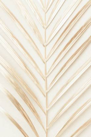 Wrapped Canvas Print, 50.8cm H x 76.2cm W