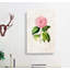 Pretty Pink Camellia Flower Illustration - Wrapped Canvas-55330247