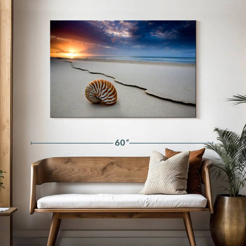 Fraser Island Beach Shell, 32" H x 48" W
