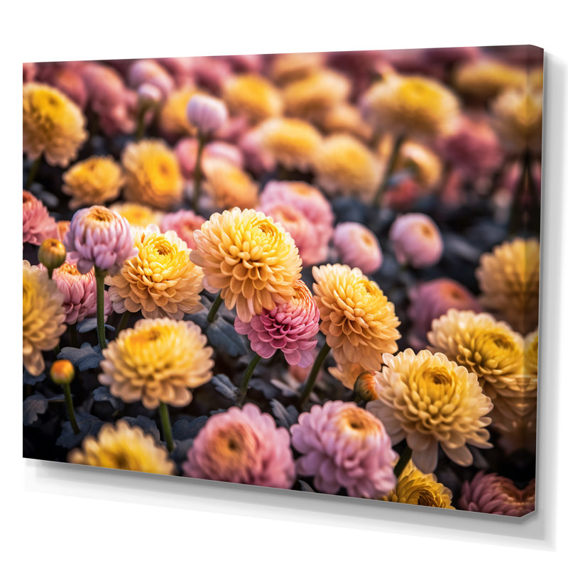 «Yellow Yellow Pink Chrysanthemums Field» sur impression sur toile, Toile tendue, H 30 po x l 40 po x P 1,5 po