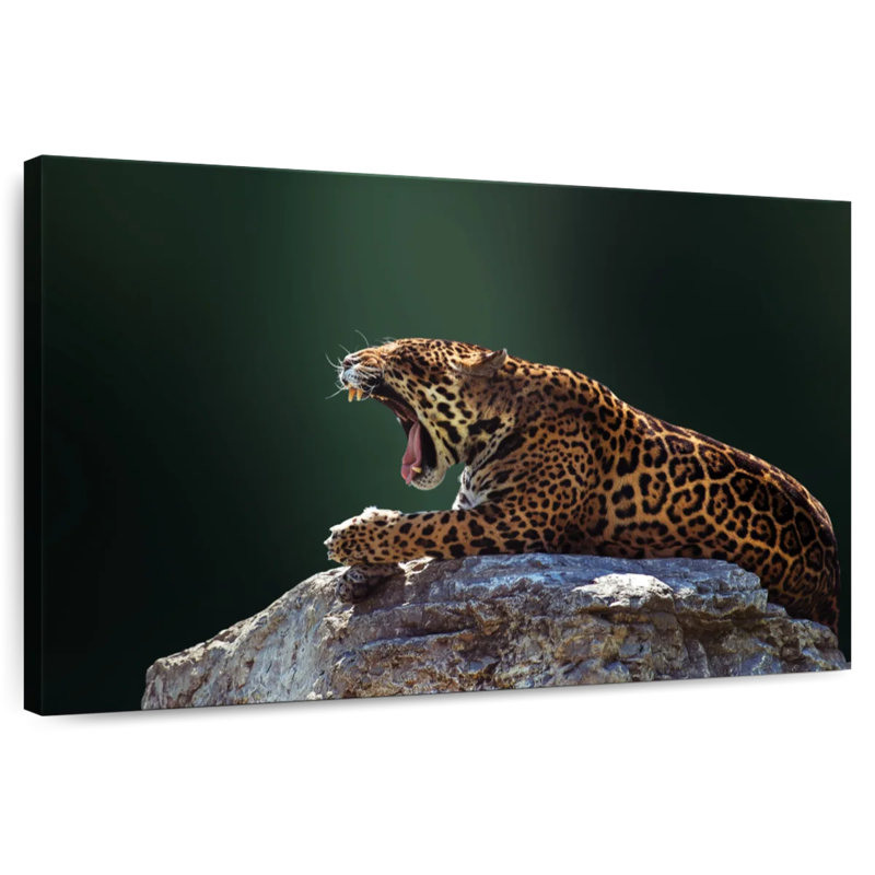 Brampt Feisty Jaguar, 16" H x 24" W