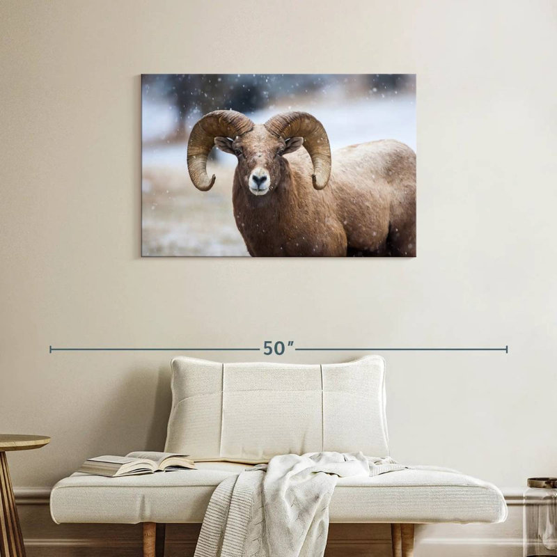 Brampt Bighorn Sheep, 24" H x 36" W