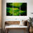 Avery Green Harmony-107999583