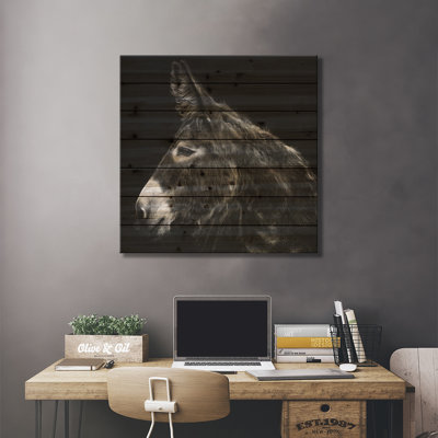 " Donkey Portrait I " by PHBurchett