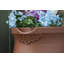 Baril d'eau de pluie 50 gallons Rain Wizard-16107874