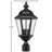 Seeded Lantern Head-52682215