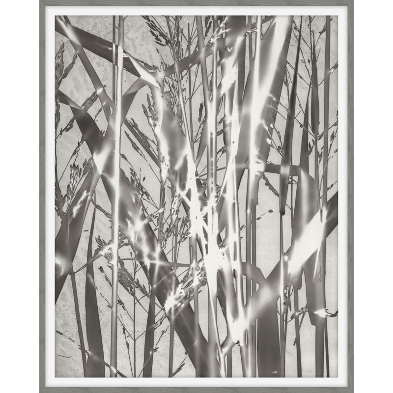 Plants & Flowers Print by Darrell Kincer, 38.75" H x 31.75" W