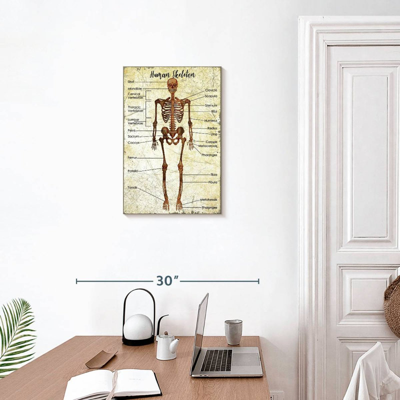 Tableau des squelettes humains Keiri, H 24 po x l 16 po