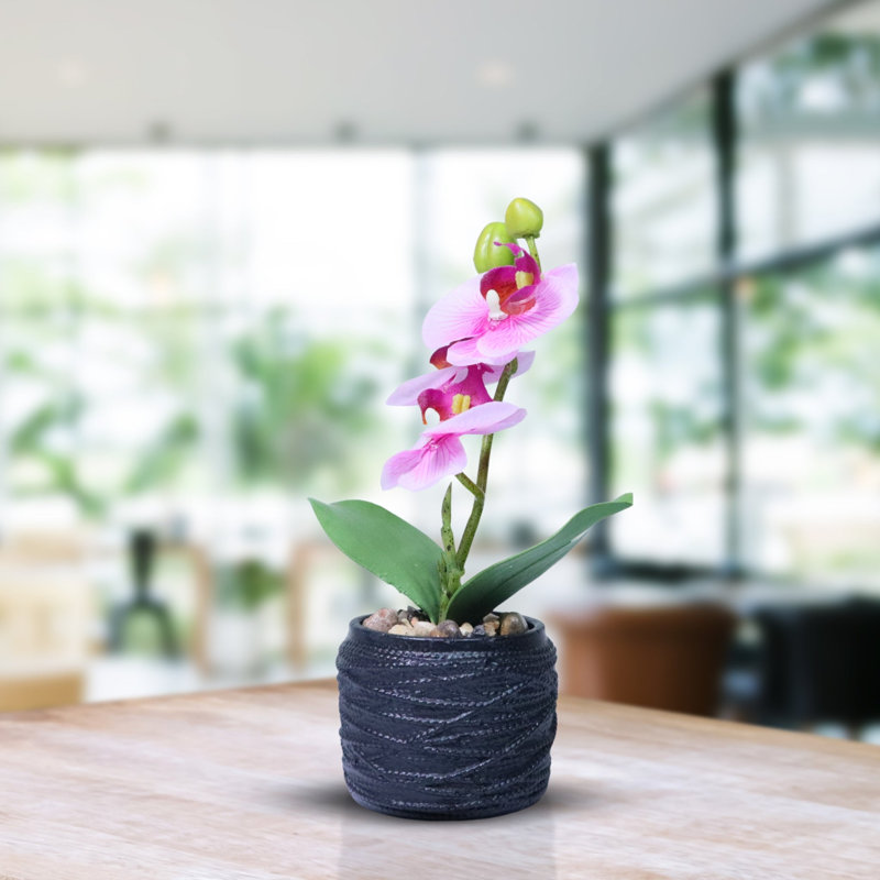 Petite plante artificielle orchidée rose d'intérieur, 9 pouces, 3 cm, Rose, Noir