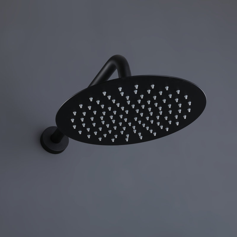 Rain Adjustable Shower Head 1.8 GPM GPM, Matte Black, Round
