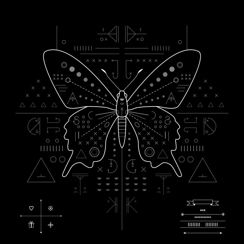 Butterfly On Black Background - Wrapped Canvas Print, 122cm H x 122cm W x 3.8cm D