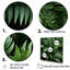 Vert fougère émeraude - forêt III-1991627231-1991627230