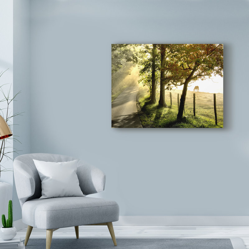 « matinée graze ii », reproduction de photo sur toile tendue, H 14 po x l 19 po x P 2 po