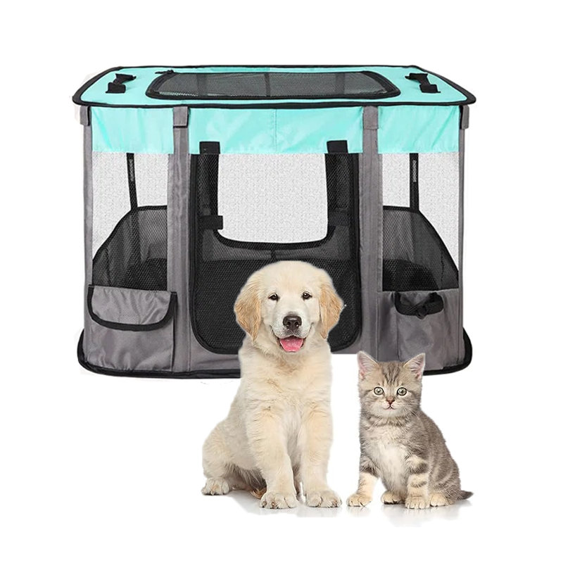 Cage portable pour animaux pliable, Grand (H 23,6 po x l 34 po x P 43,3 po), Noir/vert