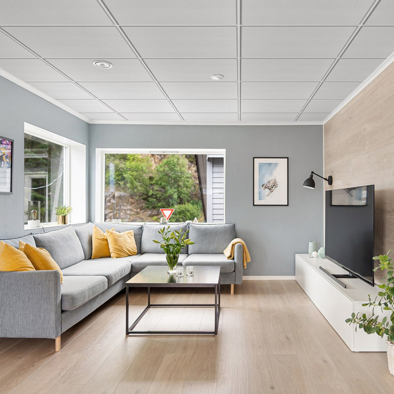 Carreau de plafond en PVC de qualité supérieure de 2 pi x 4 pi Fasarxiu - très épais, ignifuge, imperméable, réutilisable, 80 pieds carrés pi. / caisse (ensemble de 10)